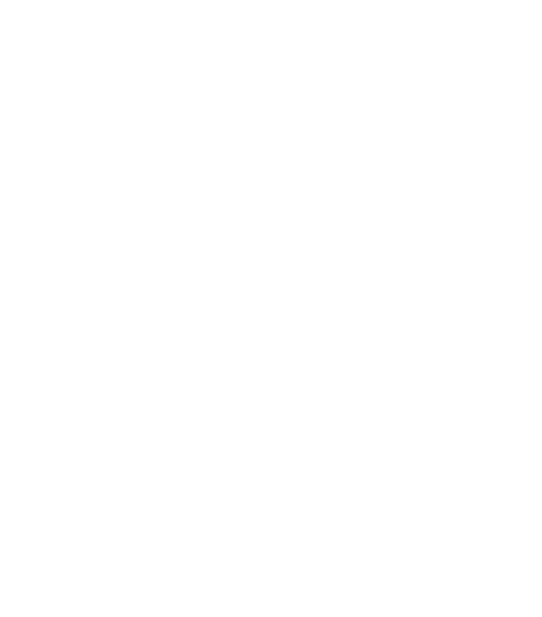 EnduroSat Logo